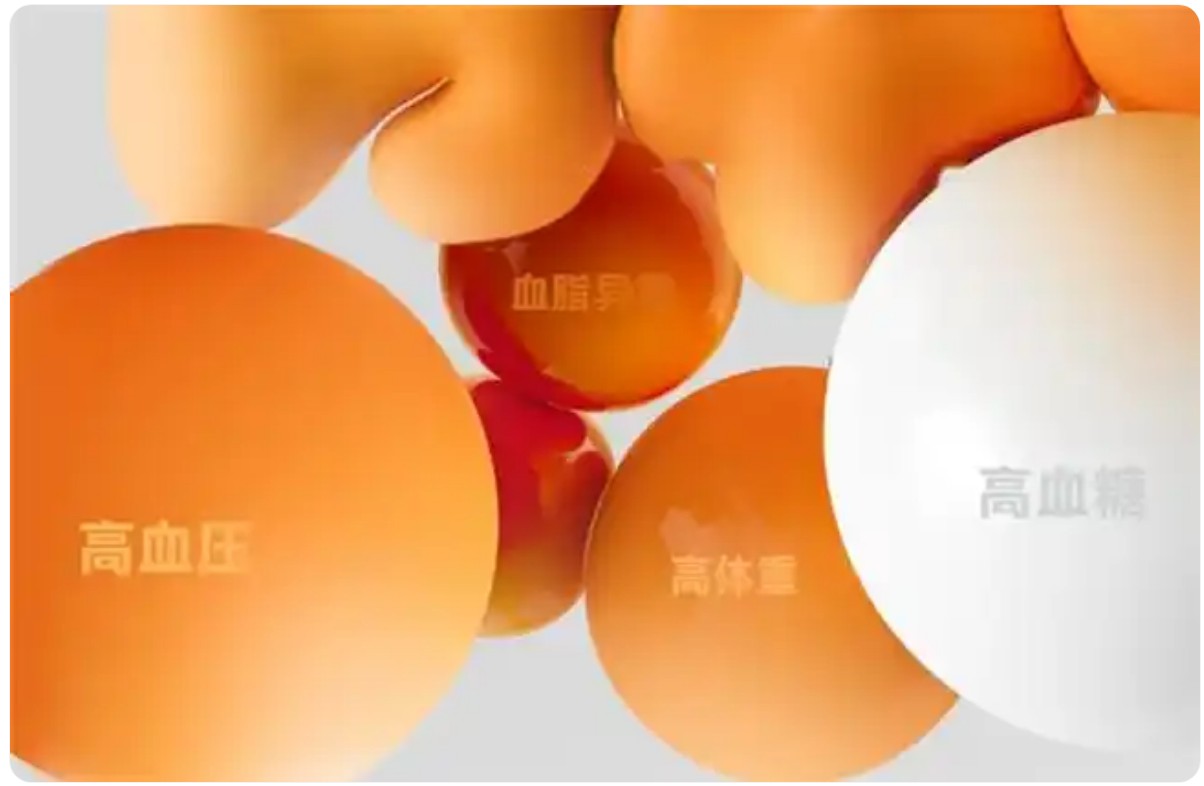 QQ20250530-095217.jpg